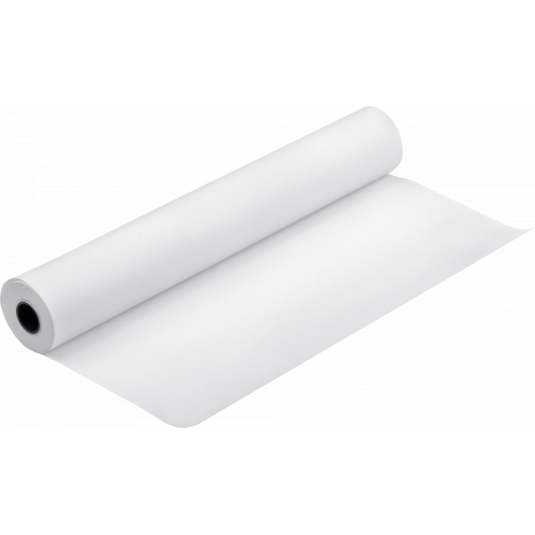 0010343864191 - Premium Semigloss Photo Paper (250) - Seidenmattfotopapier - Rolle (1524 cm x 305 m) - 1 Rolle(n) - für Stylus P