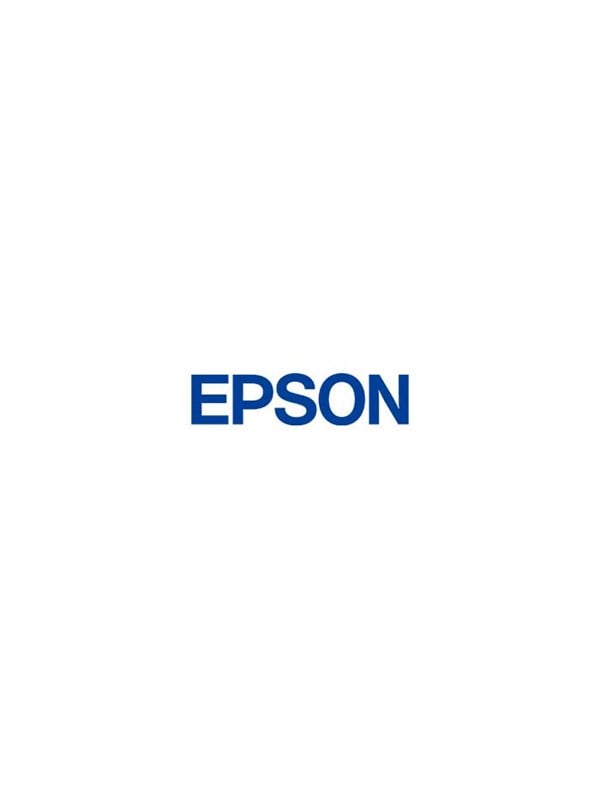 0010343921788 - Original Epson C13S210042 Reinigungskassette