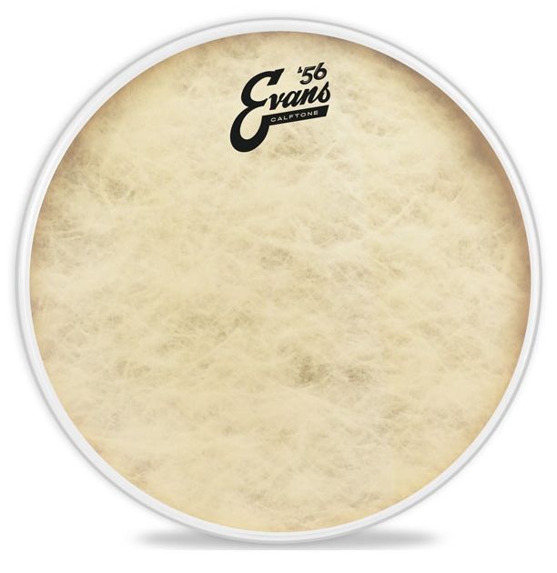 0019954205430 - Evans - Calftone 10 TT10C7 Tom Batter   Snare Batter