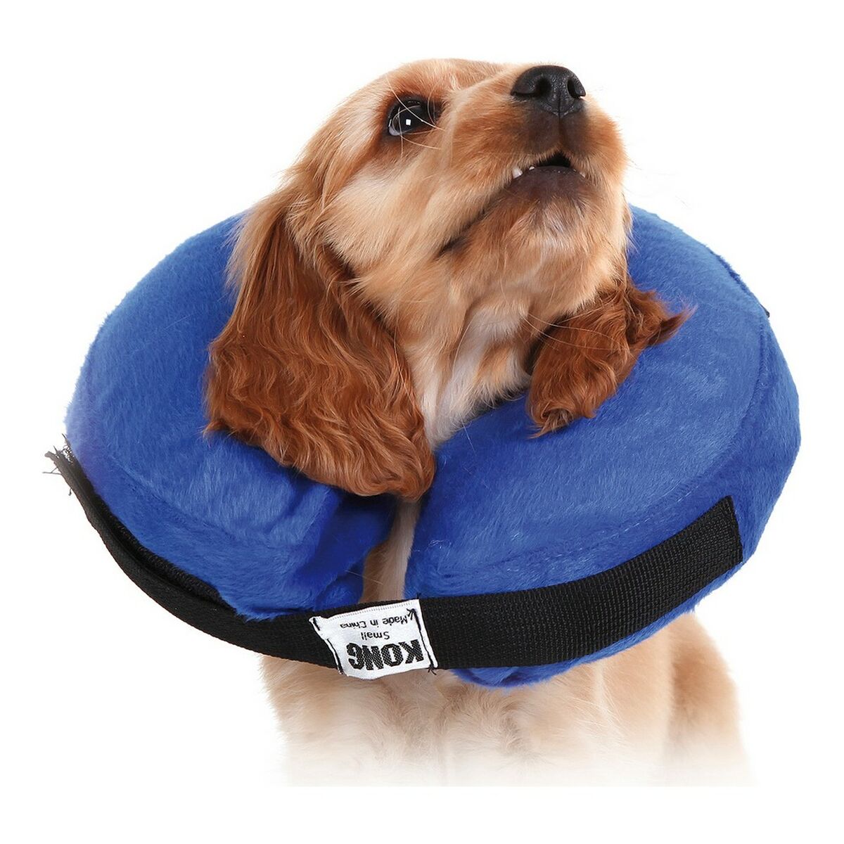 0035585081335 - Genesungshalsband für Hunde Kong Cloud Blau Aufblasbar (15-25 cm) 0035585081335 - Genesungshalsband für Hunde Kong Cloud Blau Aufblasbar (15-25 cm)