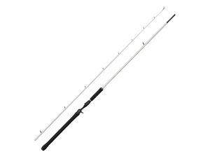 0036282002524 - Abu Garcia Beast X2 802 H Trolling Cast 244m 30-100g Schlepp-Baitcastrute