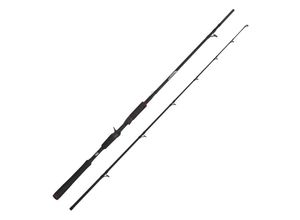 0036282102330 - Abu Garcia Beast Pike 662HP 198m 40-90g Jerkbait Rod Baitcastrute