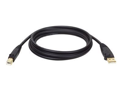 0037332100016 - Tripp Lite Series USB 20 A B Kabel (Stecker Stecker) 6 ft (183 m)