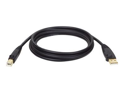 0037332100023 - Tripp Lite Series USB 20 A B Kabel (Stecker Stecker) 10 ft (305 m)