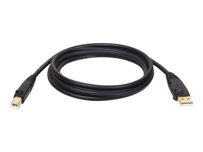 0037332122988 - Tripp Lite Series USB 20 A B Kabel (Stecker Stecker) 15 ft (457 m)