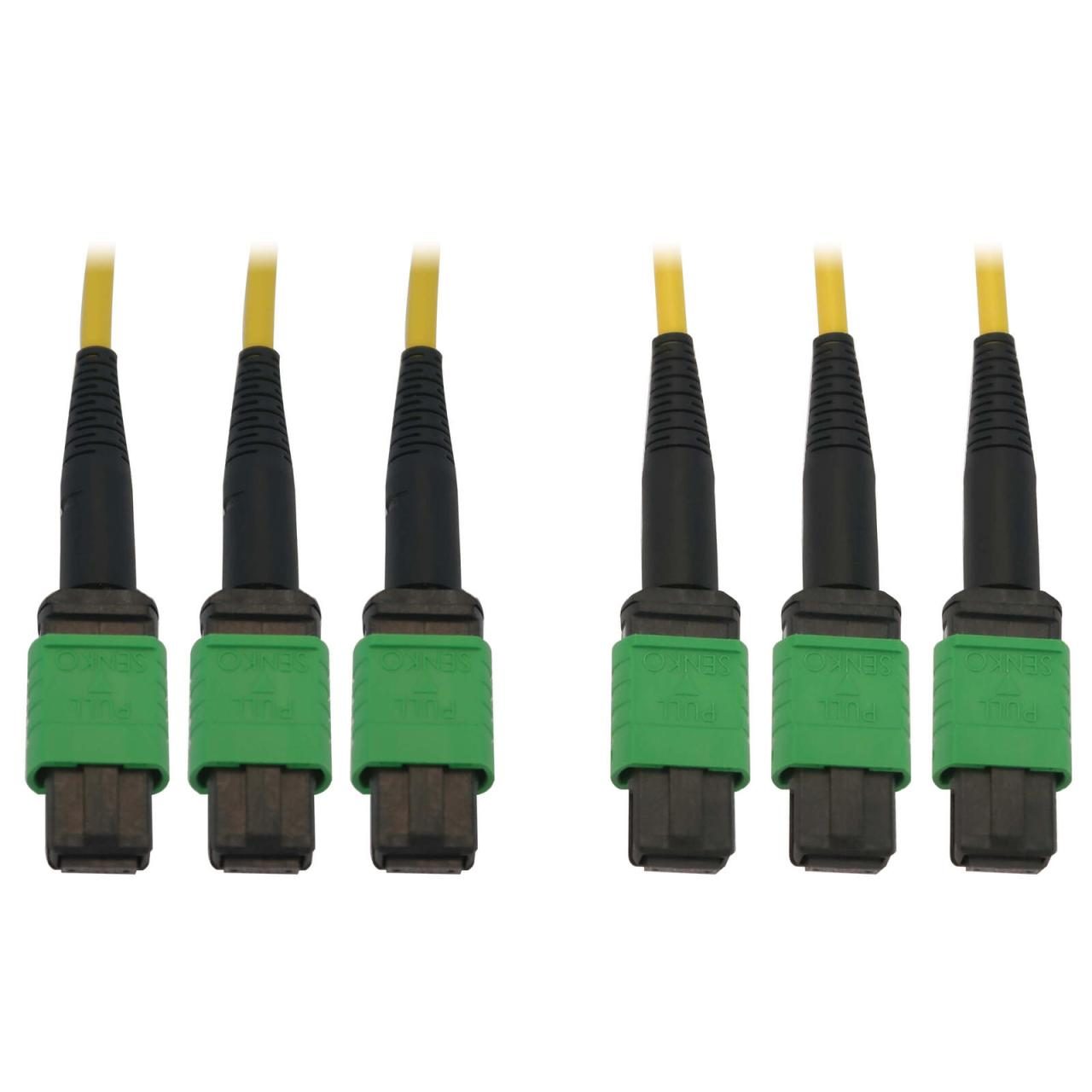 0037332272188 - Tripp Lite Series 40 100G Singlemode 9 125 OS2 Fiber Optic Kabel (3x8F MTP MPO-APC F F) 15 m