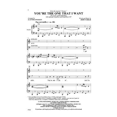 0038081296838 - Youre the one that I want