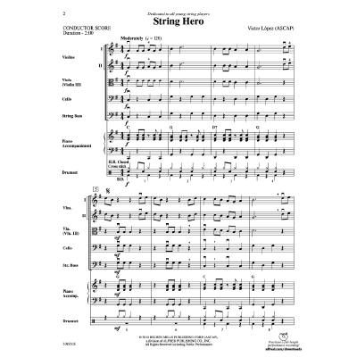 0038081378466 - String hero