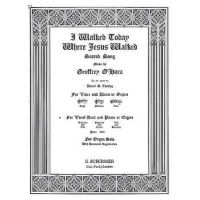 0073999846904 - I walked today where Jesus walked