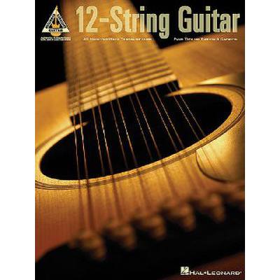 0073999906288 - 12 string guitar