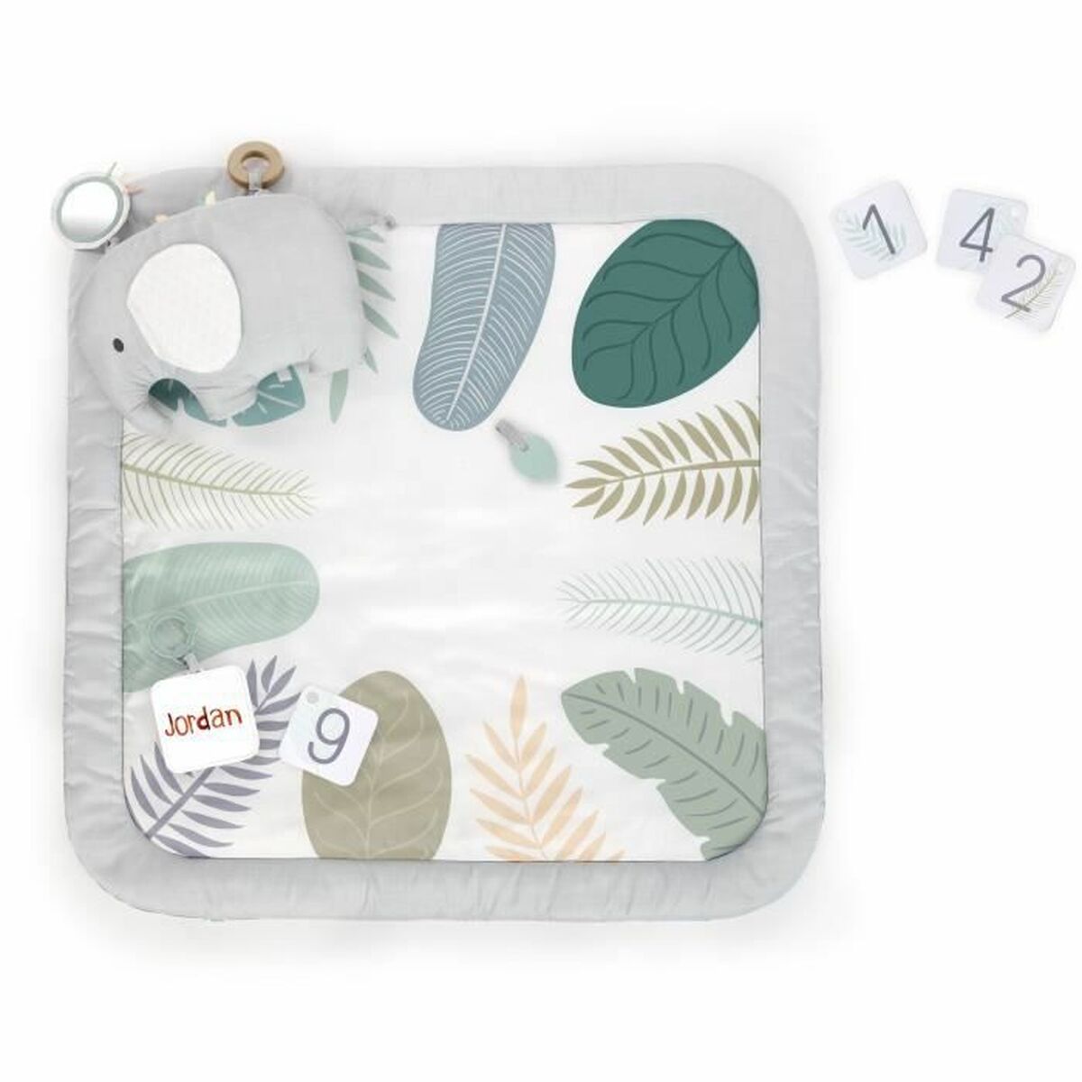 0074451128118 - Sprout Spot Baby Milestone Aktivitätsmatte