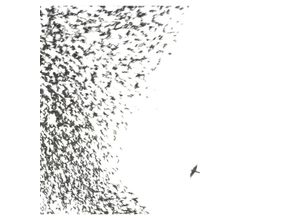 0075597904802 - Sky Blue Sky - Wilco (LP)