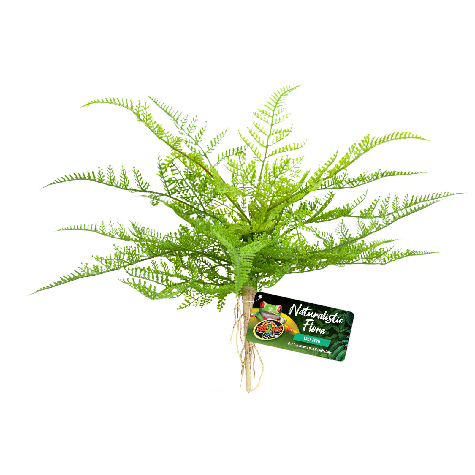 0097612180626 - Terrarium-Zubehör Lace Fern BU-62E