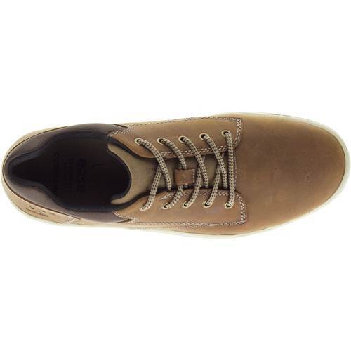 0098776732782 - Sneakers Colfax