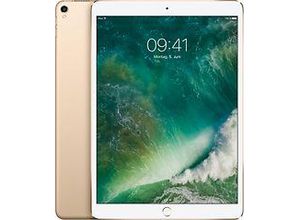 0190198343154 - iPad Pro 105 512GB [Wi-Fi Modell 2017] gold