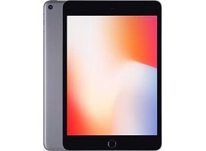 0190199069831 - Generalüberholt iPad Mini (2019) 64GB WiFI + Cellular Space Grau