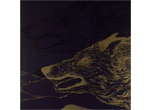 0190296985904 - Lykaia (Vinyl) - Soen (LP)