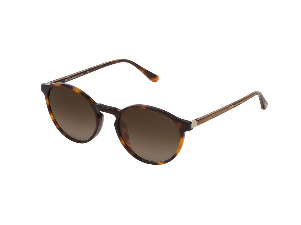 0190605237960 - Unisex SL4226 - Ferrara 4 9AJM Gläser SONNENBRILLEN Acetat Havanna Braun Rund Normal Schattiert