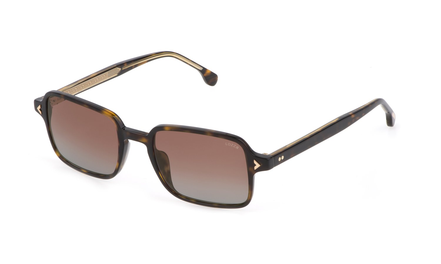 0190605376607 - Herren SL4302 0722 Gläser SONNENBRILLEN Acetat Havanna Braun Quadratisch Normal Schattiert