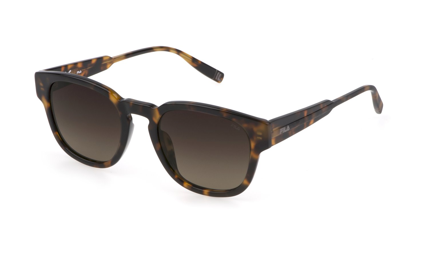 0190605400272 - Unisex Paraghex310v C10p Gläser SONNENBRILLEN Acetat Havanna Braun Panthos Polarisiert Schattiert