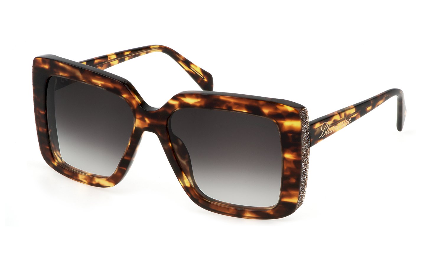 0190605462003 - Damen SBM831V 0743 Gläser SONNENBRILLEN Acetat Havanna Grau Quadratisch Normal Schattiert