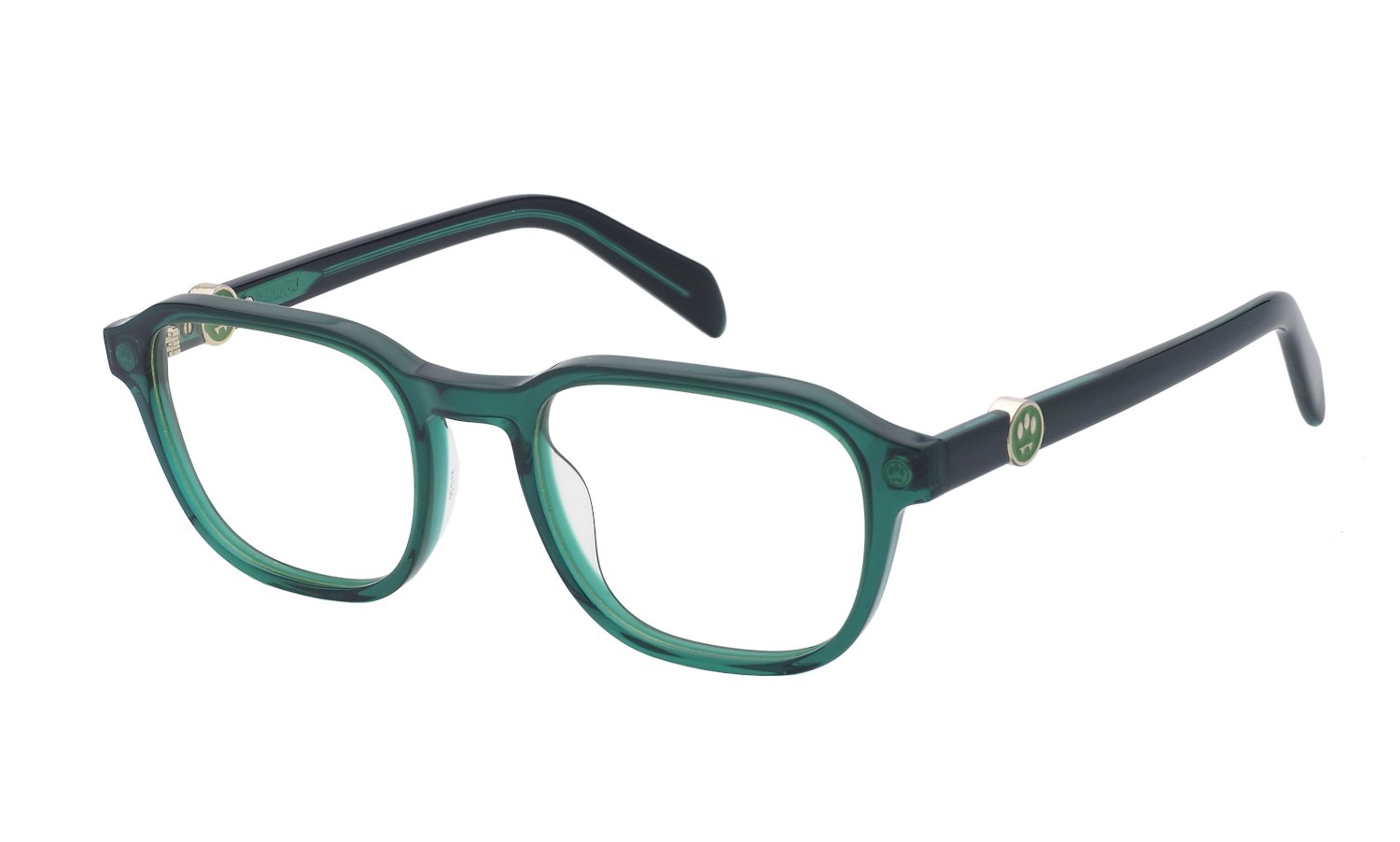 0190605505656 - Unisex VBA008V 0C36 Rahmen von BRILLEN Acetat Grün  Quadratisch Normale