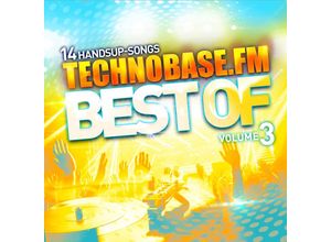 0194111022119 - TECHNOBASEFM - BEST OF VOL 3 - Various (LP)