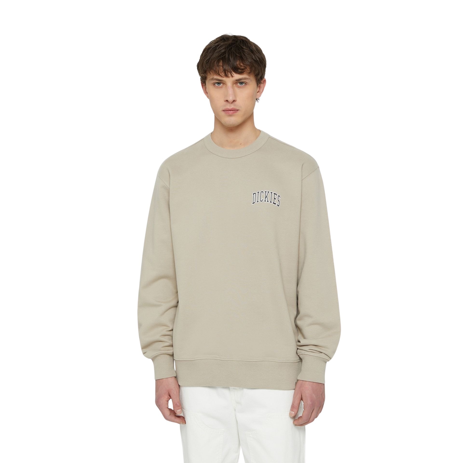 0194116980179 - Pullover Aitkin