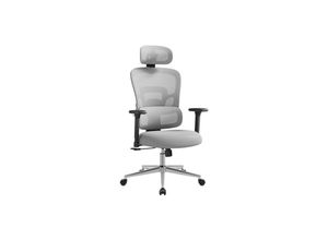 0194343158389 - Bürostuhl ergonomischer Schreibtischstuh höhenverstellbare Lordosenstütze taubengrau - taubengrau - Songmics