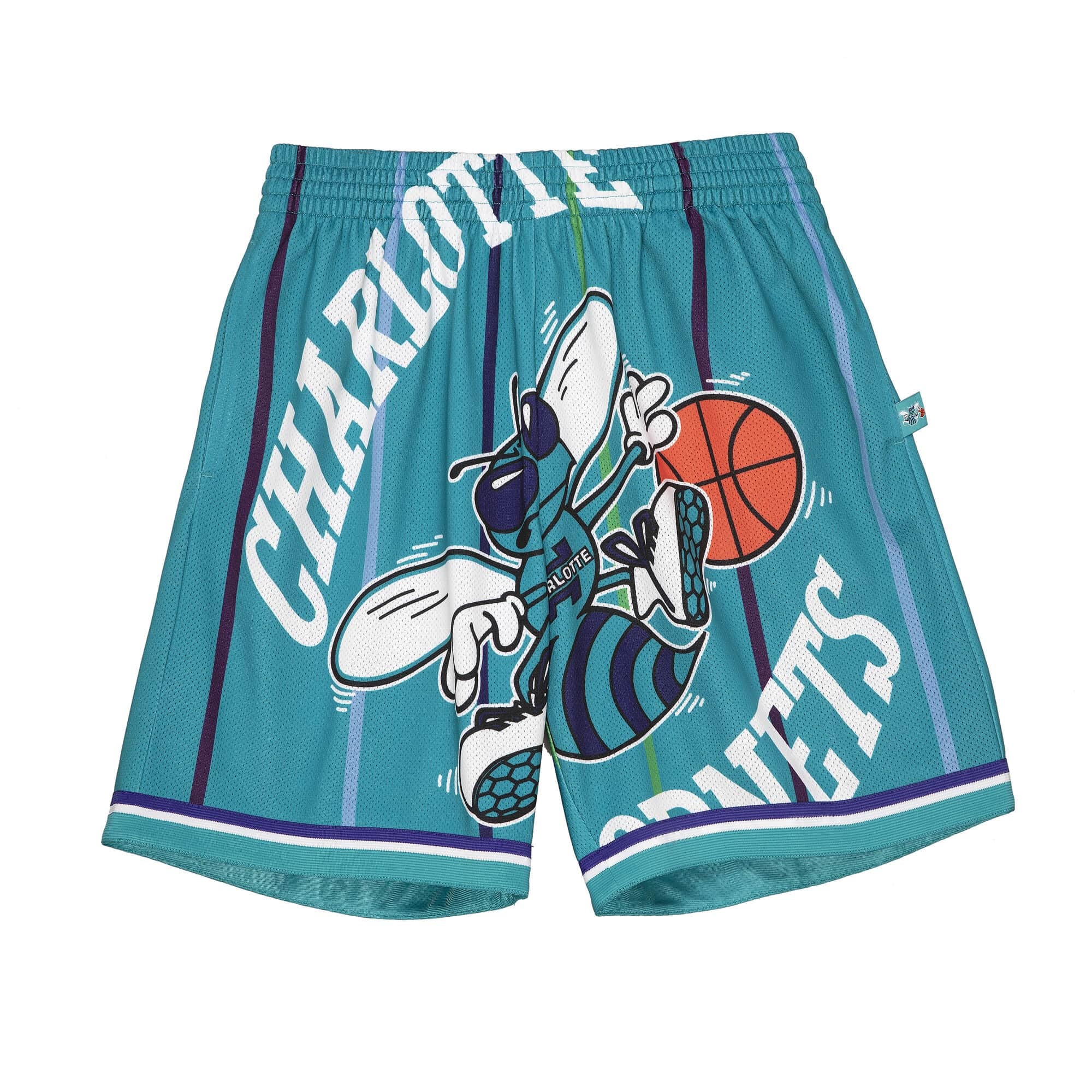 0194582438563 - Shorts Charlotte Hornets NBA Blown Out Fashion