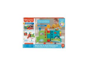 0194735012763 - HCL07 - Fisher-Price - Aktivitätsspielzeug elektronisches Erlebnisbuch