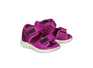 0194890105195 - ecco - Lauflernsandalen SP1 LITE I in beere Gr23