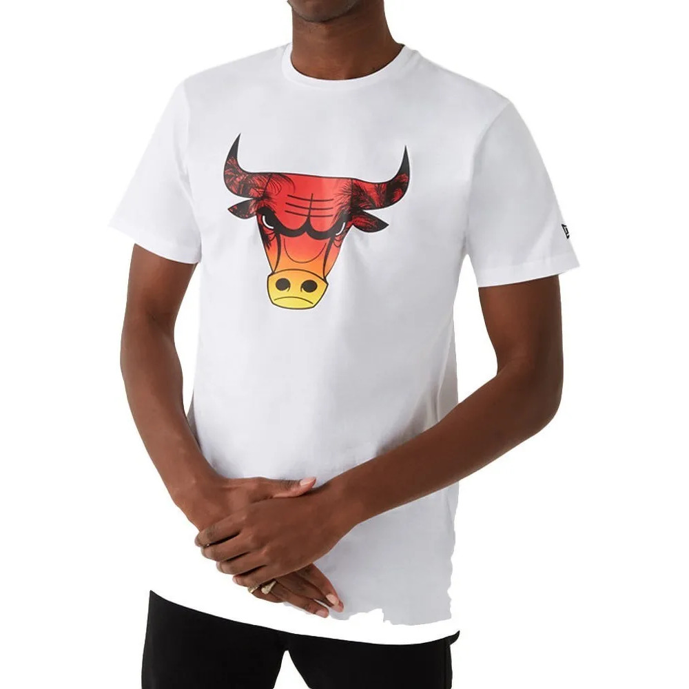 0195489438427 - T-shirt New Era NBA Chicago Bulls summer city logo