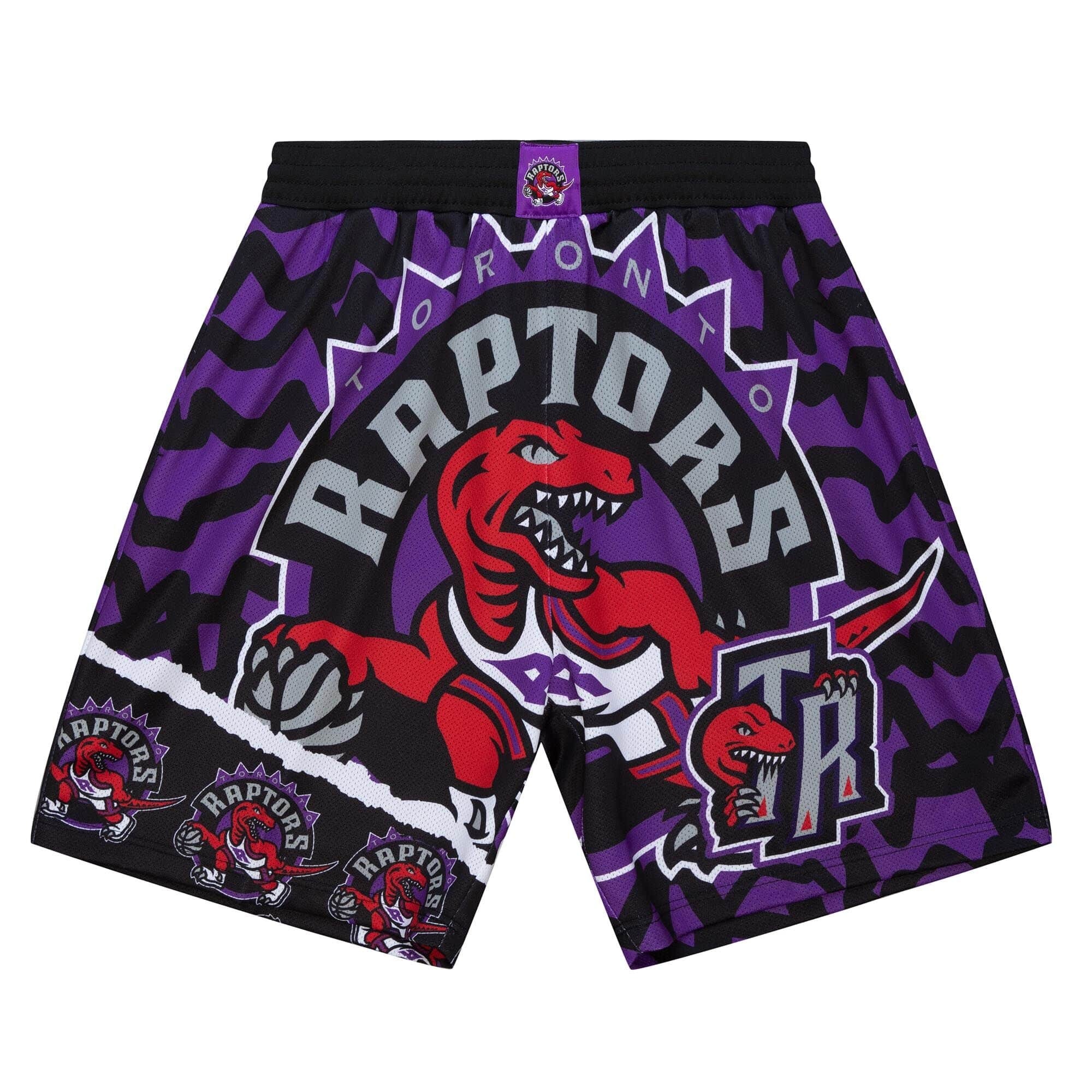 0195563893746 - Basketballshorts – Toronto Raptors NBA