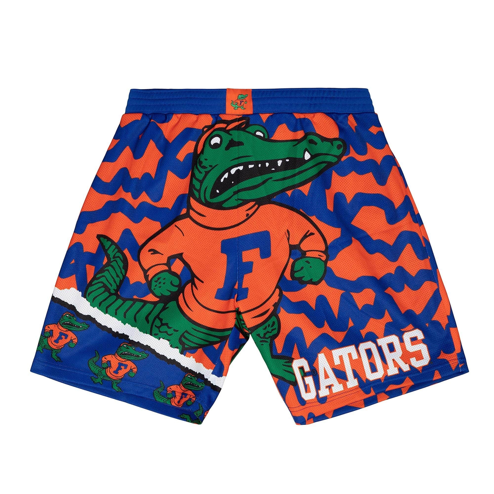 0195563893753 - Shorts – Florida Gators NCAA