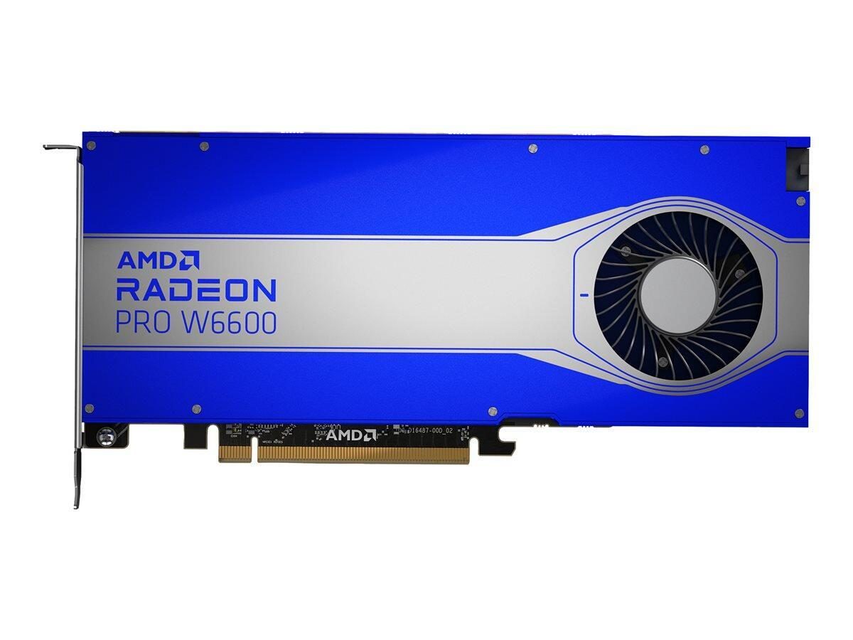 0195697639050 - HP AMD Radeon Pro W6600 mit 8 GB