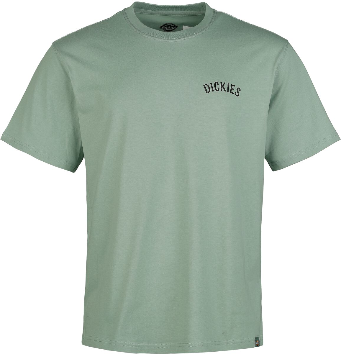 0196011930341 - DICKIES SNAKE TEE T-Shirt grün in S