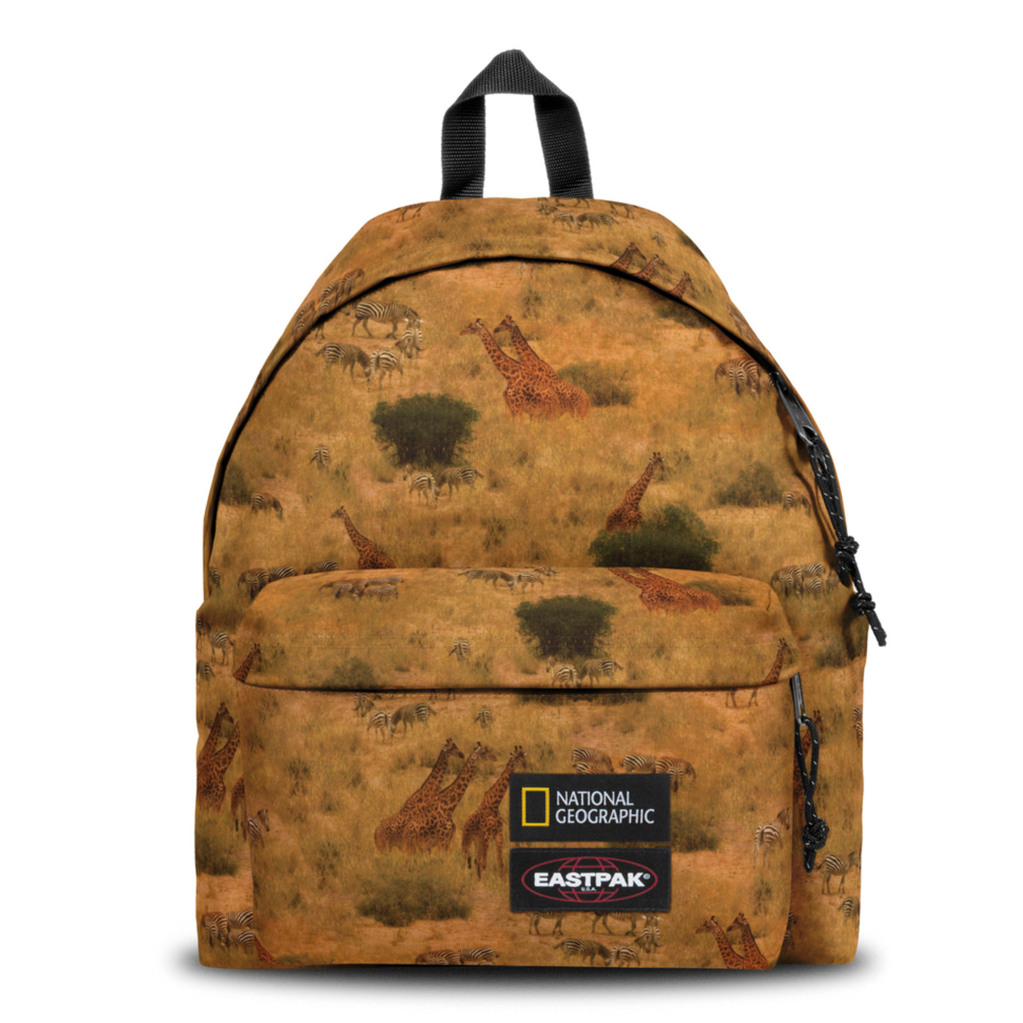 0196246319164 - Rucksack Padded PakR