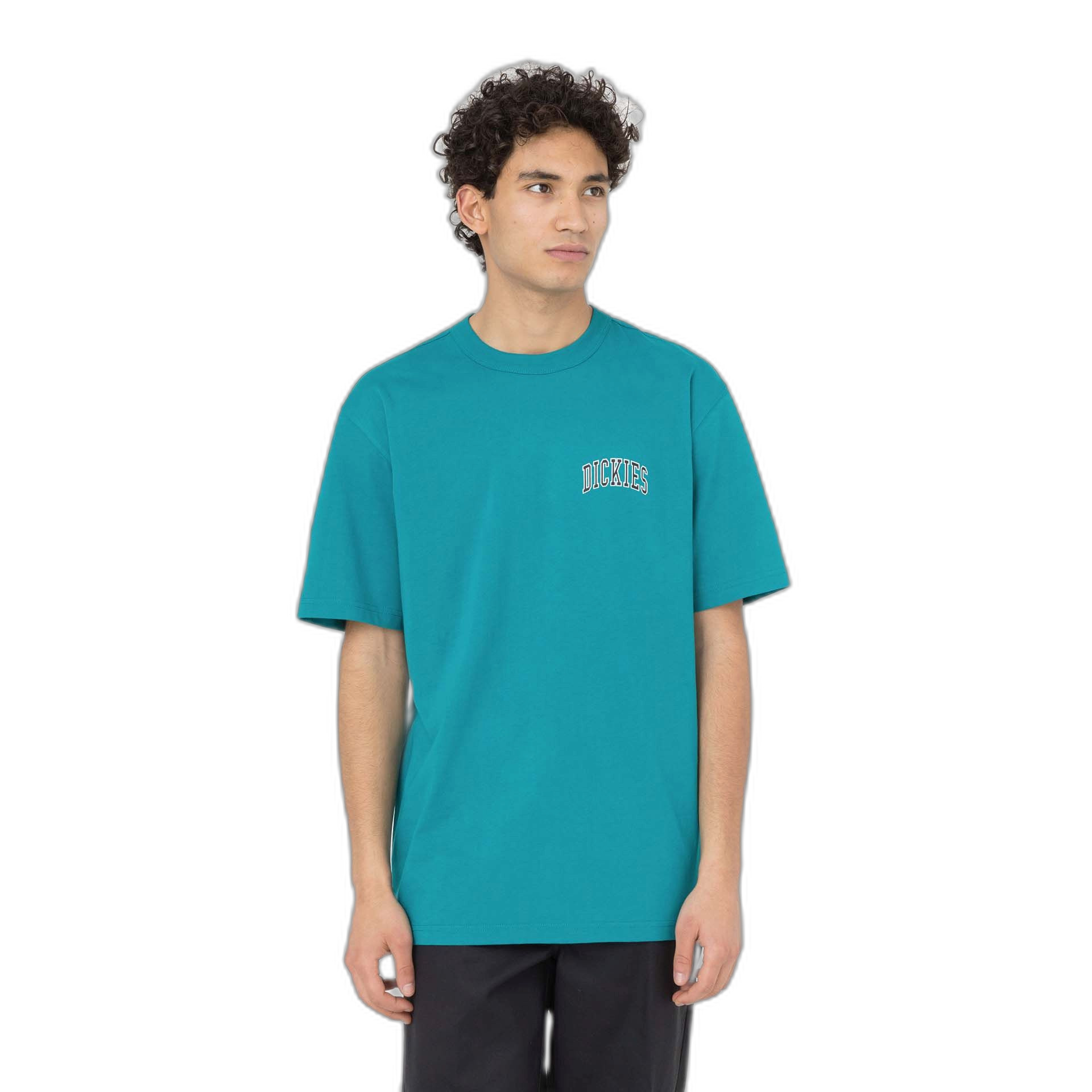 0196246623780 - T-Shirt Dickies