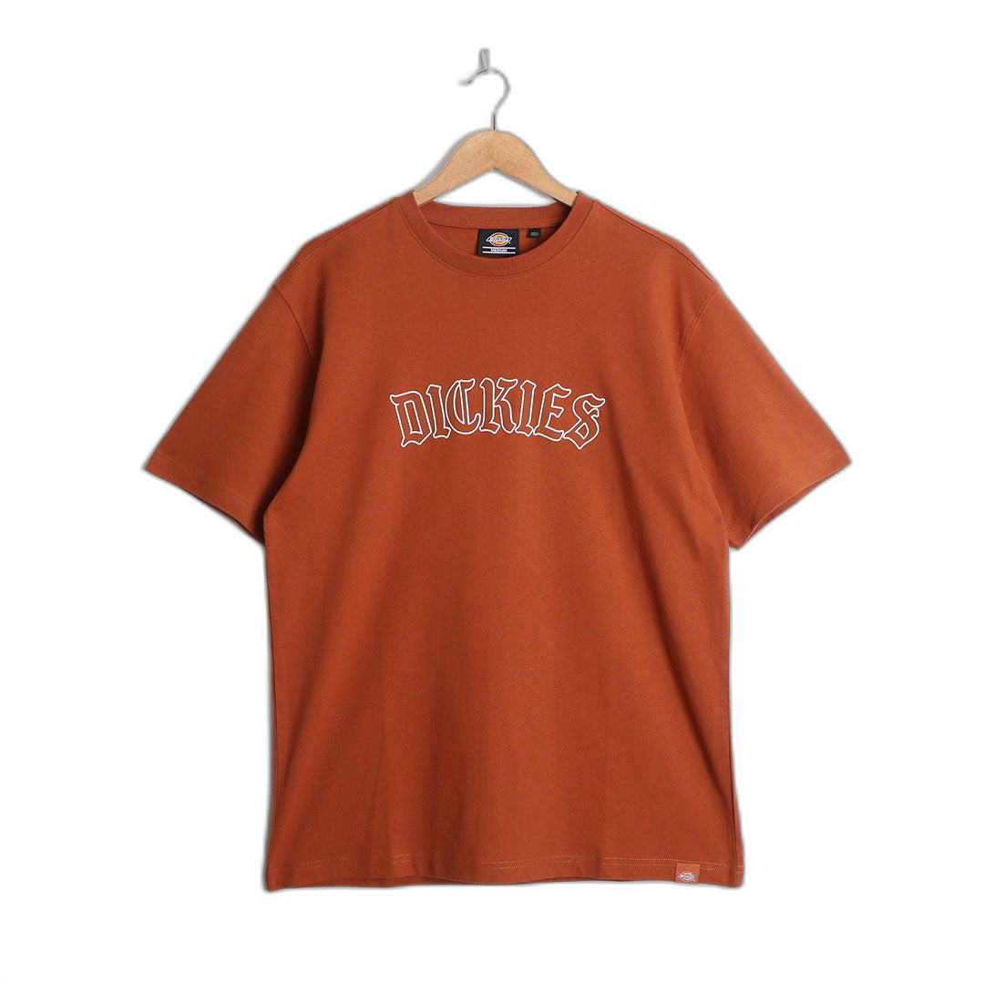 0196248291383 - T-Shirt Dickies