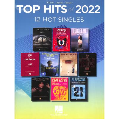 0196288100676 - Top Hits of 2022