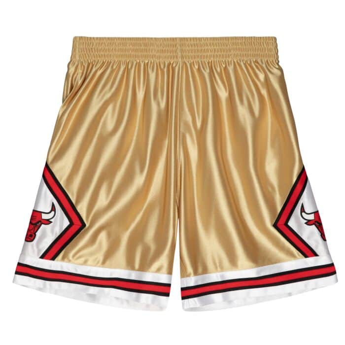 0196294018774 - Shorts Chicago Bulls