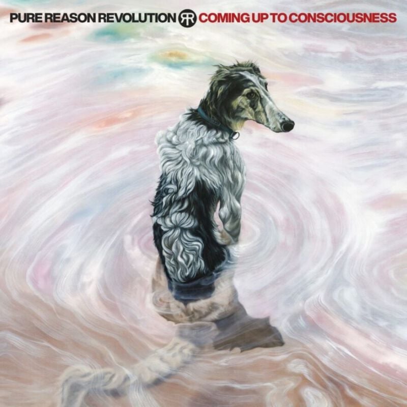 0196588816529 - Coming up to consciousness CD multicolor