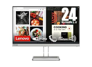 0196803071016 - 24 Bildschirm L24i-40 - LED monitor - Full HD (1080p) - 24 - Grey - 4 ms AMD FreeSync