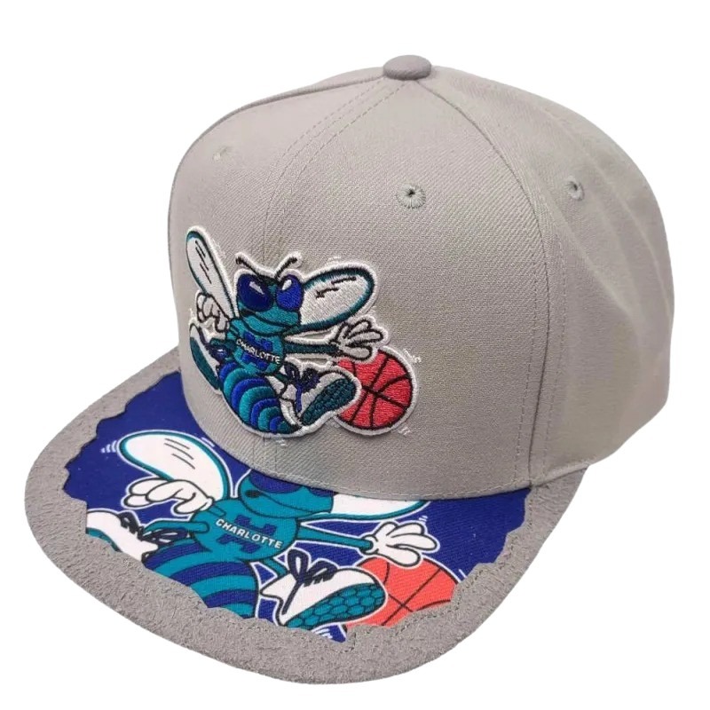 0196945018122 - Snapback Cap Charlotte Hornets