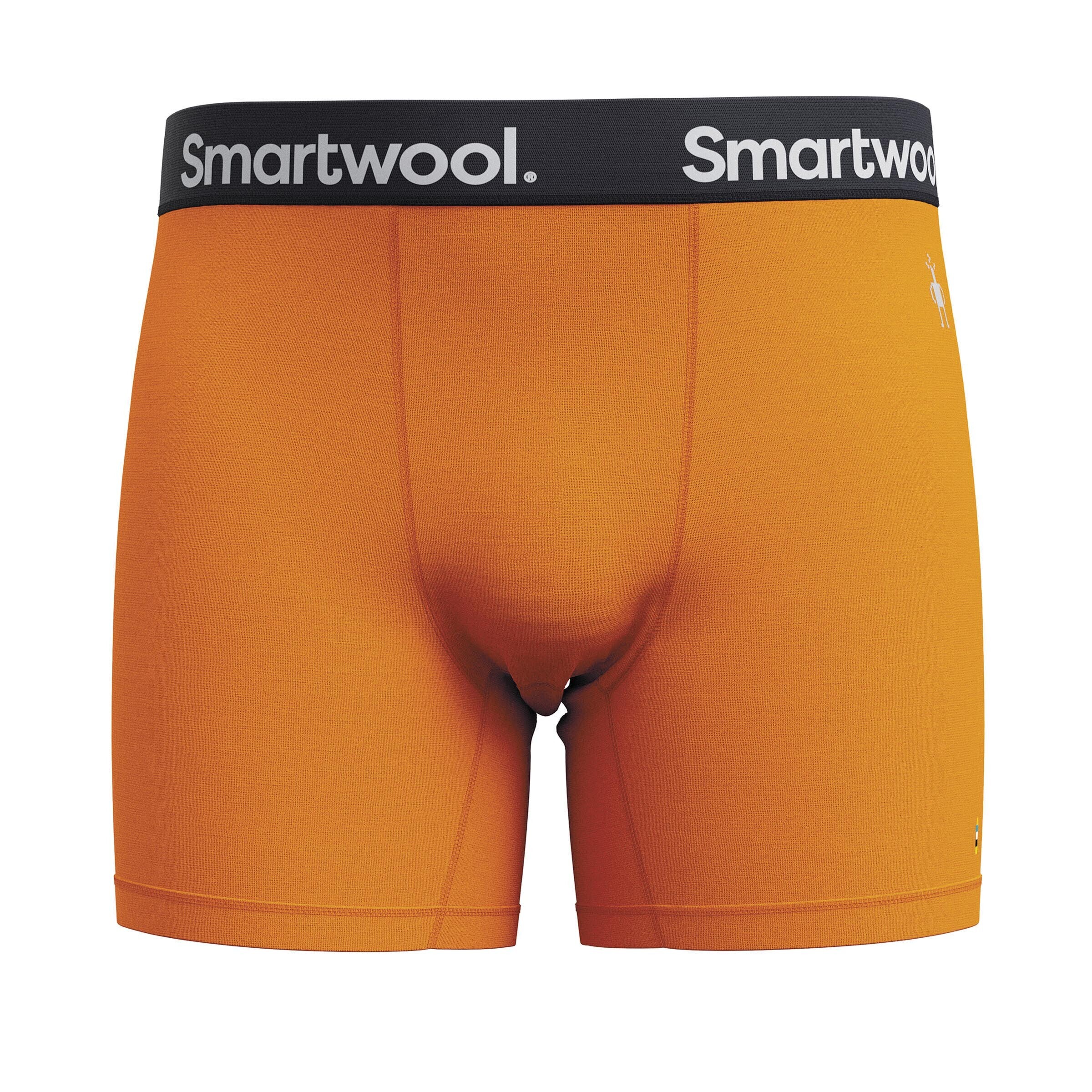 0197642533802 - Boxer Smartwool Everyday