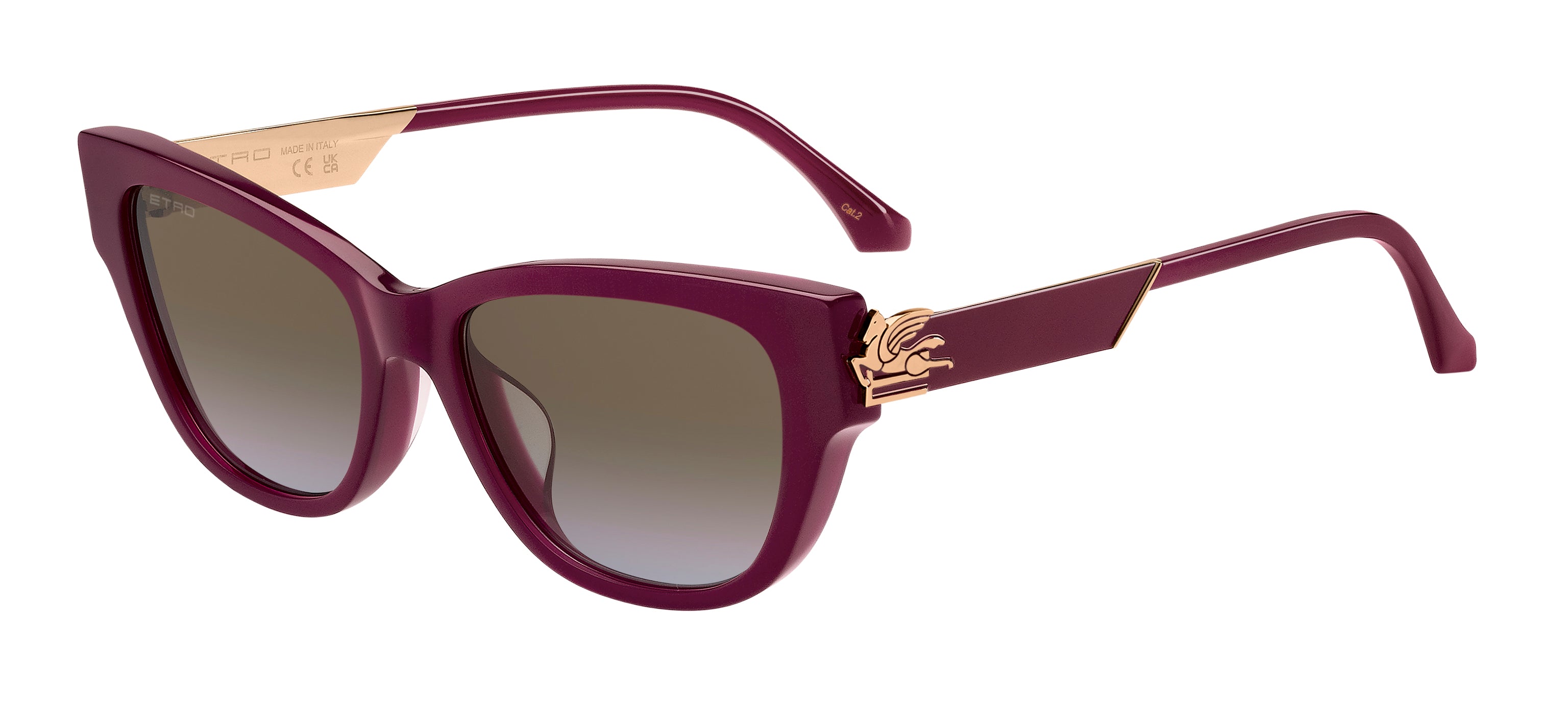 0197737048051 -  Etro 0063 f S LHF 67 Gläser SONNENBRILLEN   Marrone   Sfumato