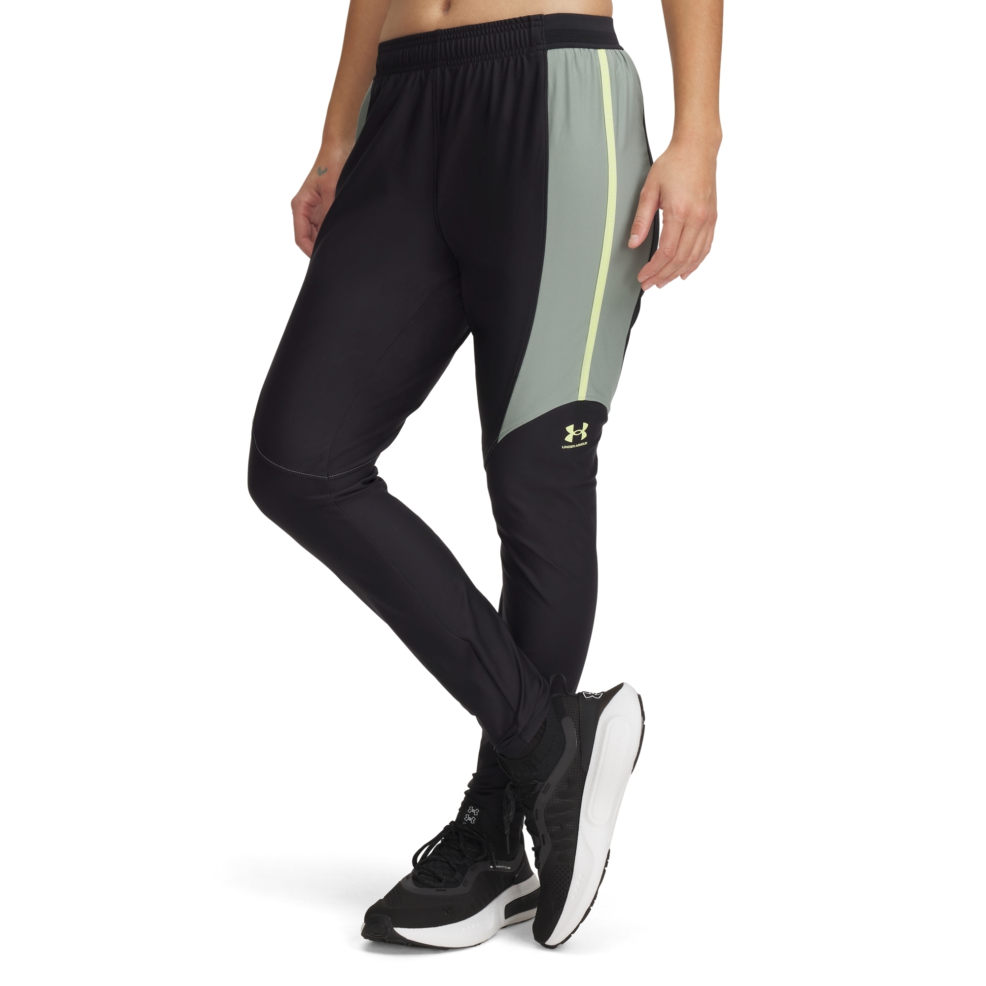 0197779163095 - Trainingshose Damen Challenger Pro