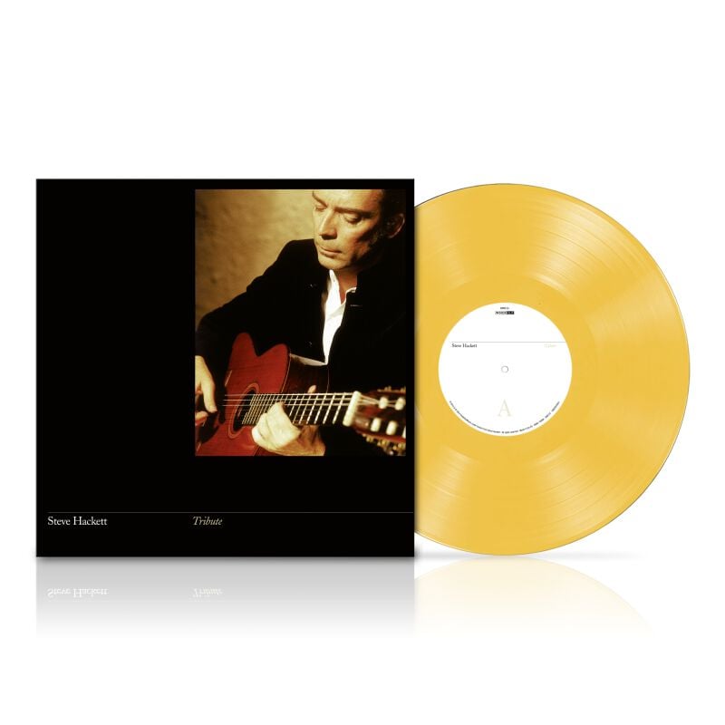 0198028427814 - Tribute LP multicolor