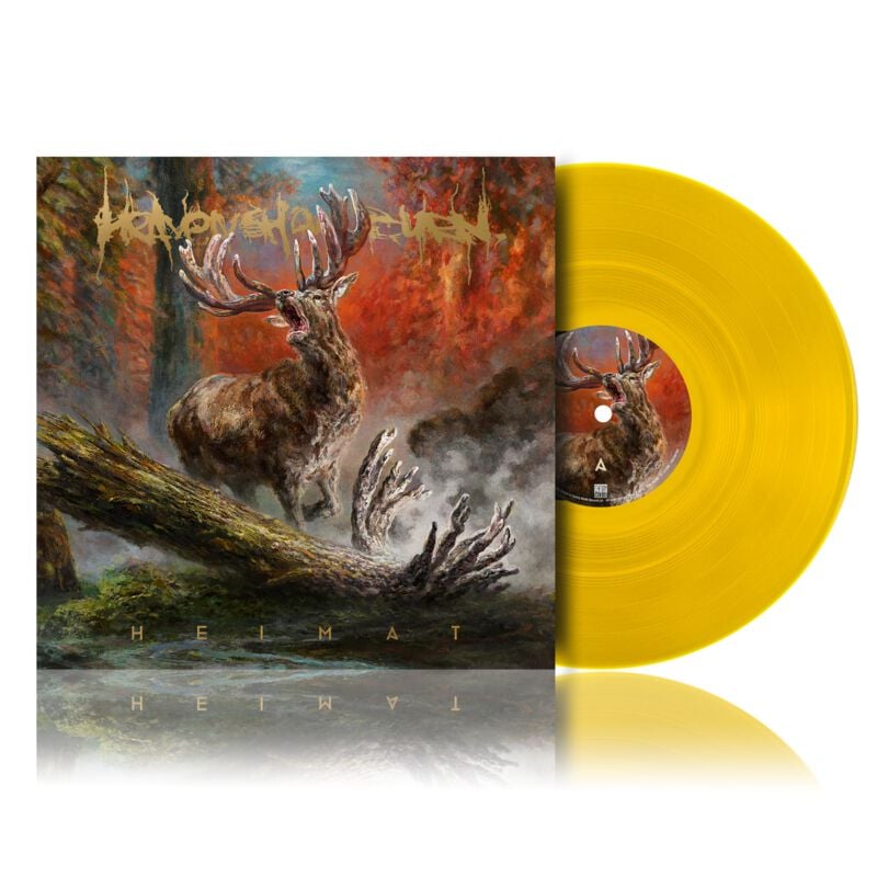 0198029017113 - Heimat LP multicolor